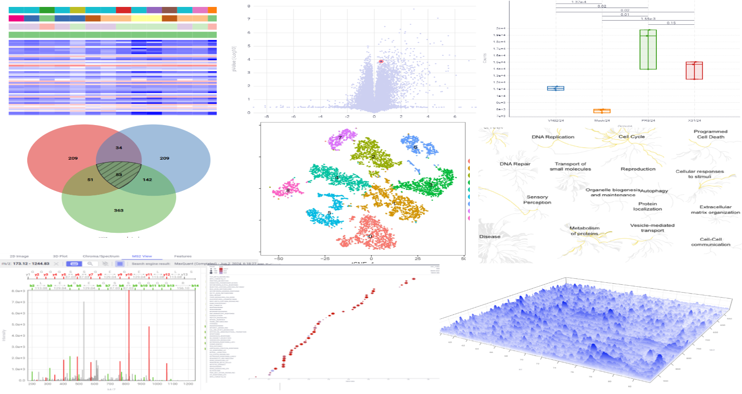 EuropaXp visualizations